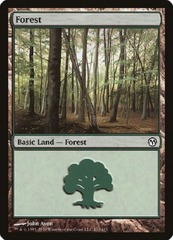 Forest (111/113)